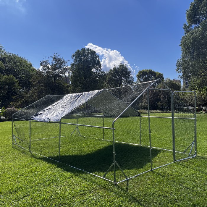 Курятник 6 м